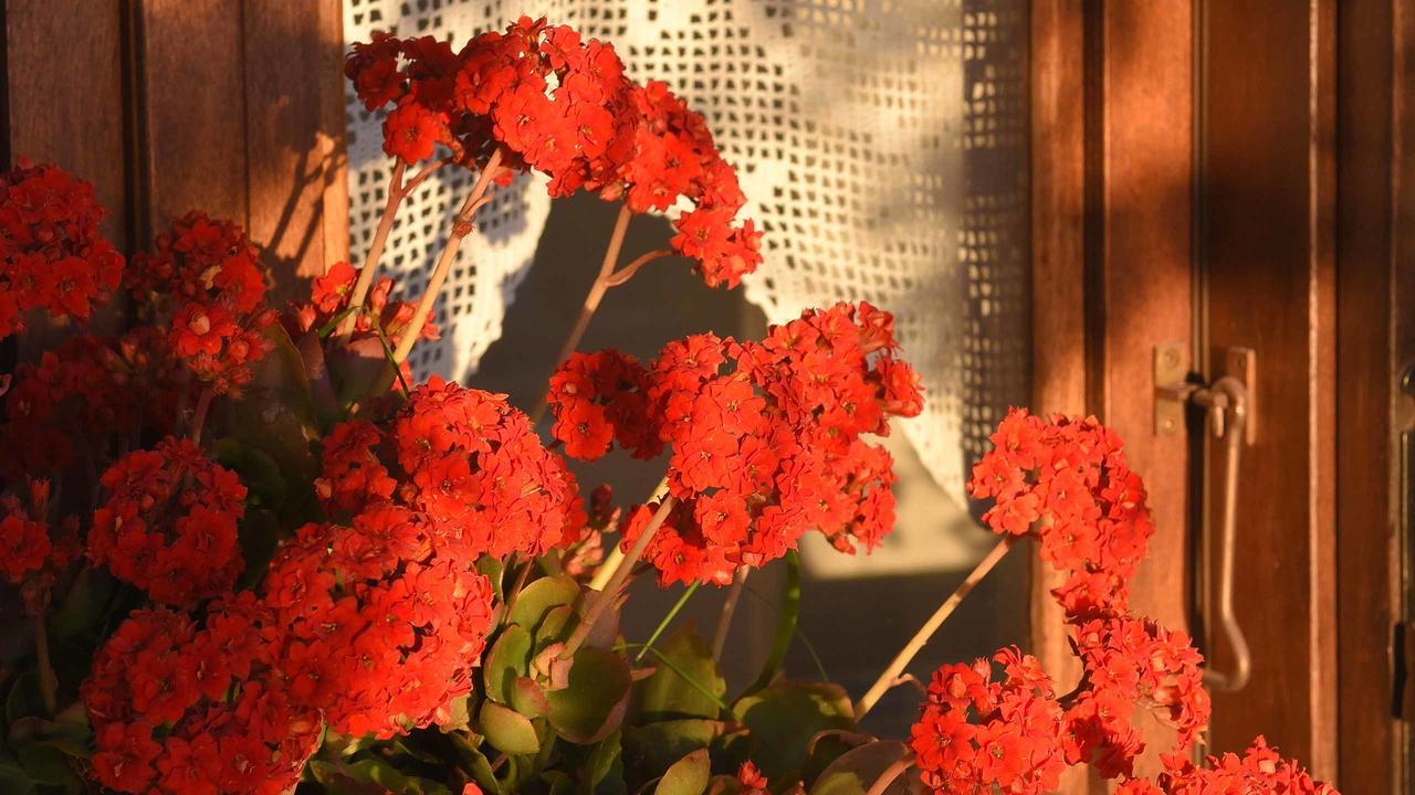 KiniAnemos And Almyraアパートメント エクステリア 写真